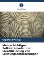 Mehrschichtiges Softwaremodell zur Identifizierung von Leistungsanforderungen