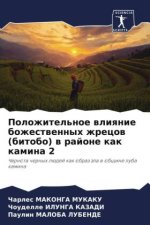 Polozhitel'noe wliqnie bozhestwennyh zhrecow (bitobo) w rajone kak kamina 2