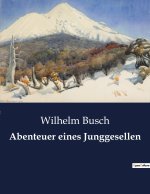 Abenteuer eines Junggesellen