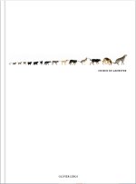 Chiens de Lanester