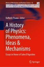 A History of Physics: Phenomena, Ideas & Mechanisms