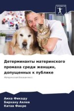 Determinanty materinskogo promaha sredi zhenschin, dopuschennyh k publike