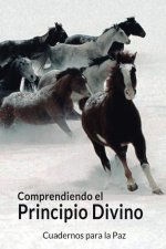 COMPRENDIENDO EL PRINCIPIO DIVINO