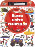 VEHICULOS