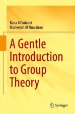 A Gentle Introduction to Group Theory