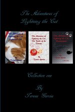 The Adventures of Lightning the Cat