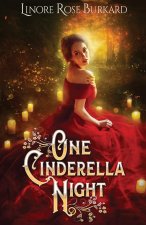 One Cinderella Night