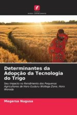 Determinantes da Adopç?o da Tecnologia do Trigo