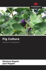 Fig Culture