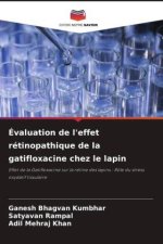 Évaluation de l'effet rétinopathique de la gatifloxacine chez le lapin