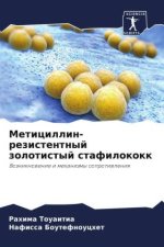 Meticillin-rezistentnyj zolotistyj stafilokokk