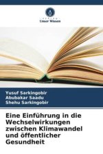 Eine Einführung in die Wechselwirkungen zwischen Klimawandel und öffentlicher Gesundheit