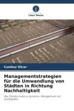 Managementstrategien für die Umwandlung von Städten in Richtung Nachhaltigkeit