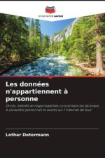Les données n'appartiennent ? personne