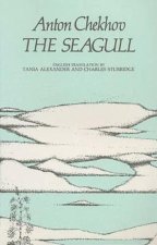 Seagull