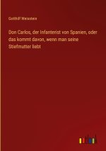 Don Carlos, der Infanterist von Spanien, oder das kommt davon, wenn man seine Stiefmutter liebt