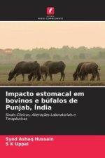 Impacto estomacal em bovinos e búfalos de Punjab, Índia
