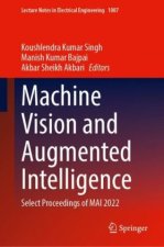 Machine Vision and Augmented Intelligence
