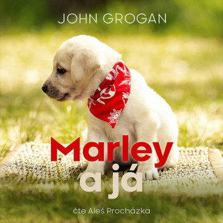 Marley a jďż˝