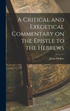 A Critical and Exegetical Commentary on the Epistle to the Hebrews