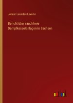 Bericht über rauchfreie Dampfkesselanlagen in Sachsen