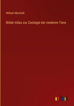 Bilder-Atlas zur Zoologie der niederen Tiere