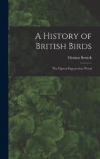 A History of British Birds: The Figures Engraved on Wood