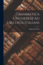 Grammatica Ungherese Ad Uso Degl'italiani