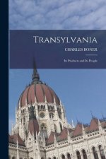 Transylvania; Its Products and Its People
