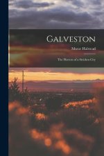 Galveston: The Horrors of a Stricken City