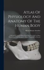 Atlas Of Physiology And Anatomy Of The Human Body: A Series Of Colored Plates With Parts Overlaid To Show Dissections, With Descriptive Matter Prepare