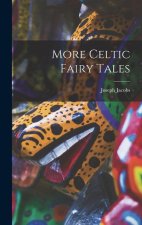 More Celtic Fairy Tales