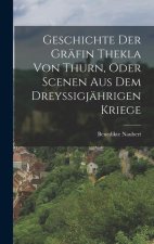 Geschichte Der Gräfin Thekla Von Thurn, Oder Scenen Aus Dem Dreyssigjährigen Kriege