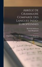 Abrégé De Grammaire Comparée Des Langues Indo-Européennes: D'apr?s Le Précis De Grammaire Comparée De K. Brugmann Et B. Delbrück