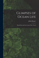 Glimpses of Ocean Life: Rock-Pools and the Lessons They Teach