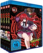 Highschool DxD - Staffel 1 - Gesamtausgabe - Bundle Vol.1-4 (4 Blu-rays)