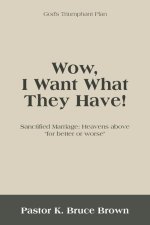 Wow, I Want What They Have!: Sanctified Marriage: Heavens Above For Better or Worse