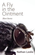 A Fly in the Ointment: Short Stories