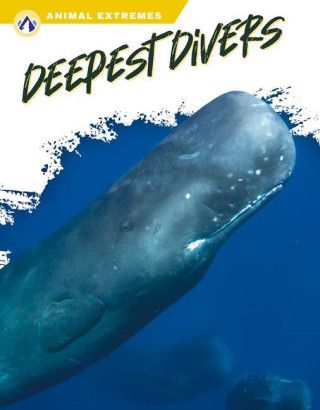 Deepest Divers