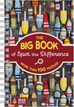 Big Book of Spot the Difference