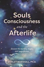 Souls Consciousness and the Afterlife: Discover the Mystery, Magic, and Magnificence