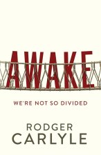Awake: We're Not So Divided
