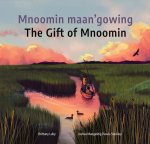 Mnoomin Maan'gowing / The Gift of Mnoomin]