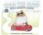 Koda the Fluff Gets a Driver's License: A True Story!