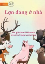 Pig Is Home - Lợn đang ở nh?