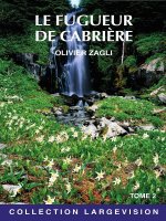 LE FUGUEUR DE CABRIERE T2