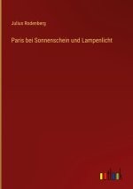 Paris bei Sonnenschein und Lampenlicht