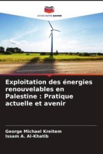 Exploitation des énergies renouvelables en Palestine : Pratique actuelle et avenir