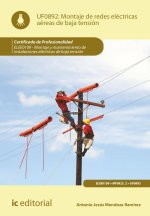 MONTAJE REDES ELECTRICAS AEREAS DE BAJA TENSION ELEE0109