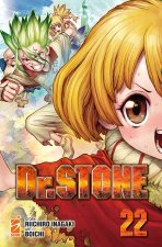 Dr. Stone